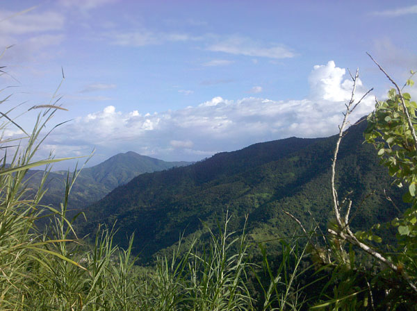Панорама с вершины Голубой Горы, Кингстон, Ямайка (Blue mountain panorama ,Kingston Jamaica) 